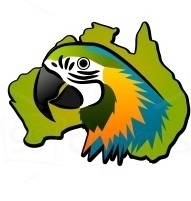 Tame Parrots Shop