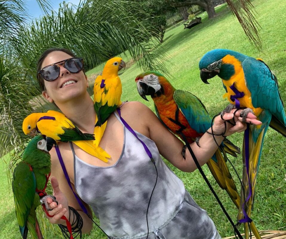 Licensed Parrot Breeders USA